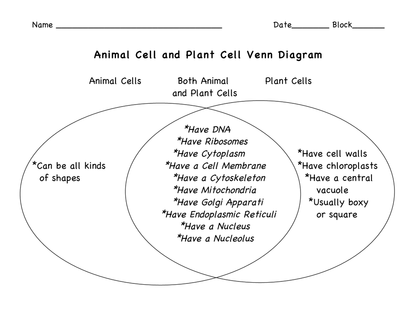 Types of Cells - ninth Grade Biology
