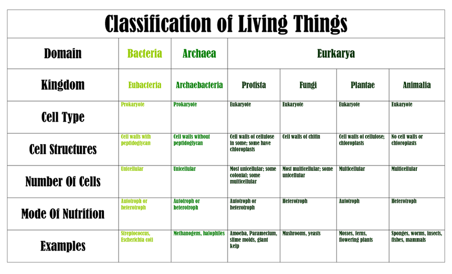 Six Kingdoms Of Living Organisms Chart